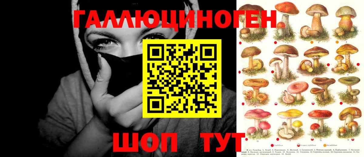 Псилоцибиновые грибы Cubensis  Галлюциногенные грибы Psilocybine cubensis  Вход с VPN  Ишим 